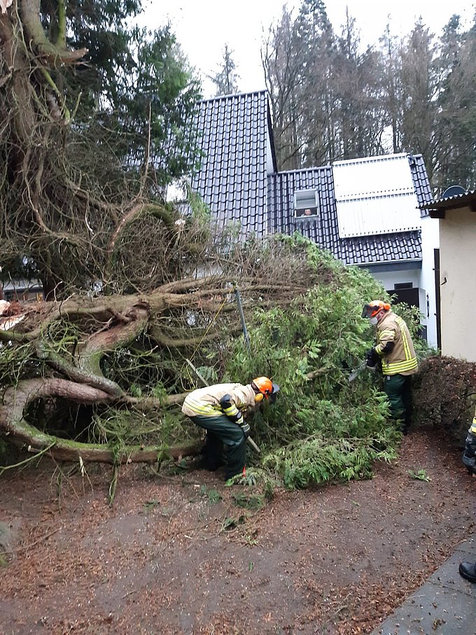 Die Feuerwehr beseitigt den umgestürzten Baum Die Feuerwehr beseitigt den umgestürzten Baum