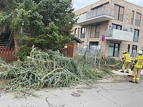 Die Einsatzkräfte zerkleinderten die herunterhängenden Äste des umgestürzten Baumes.